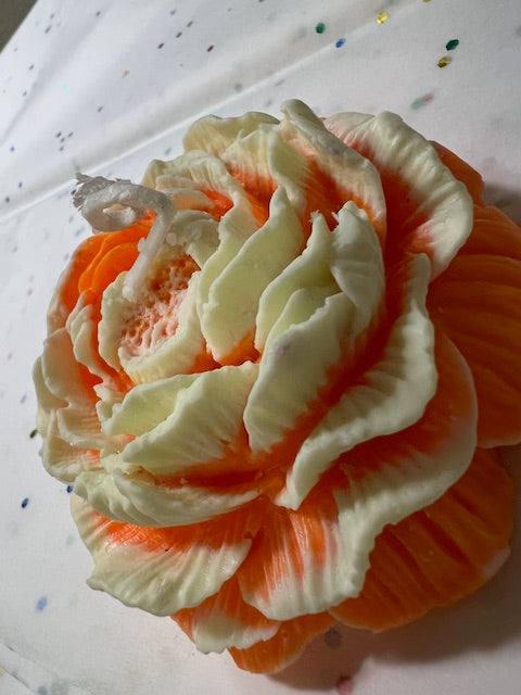 Orange and white Rose large