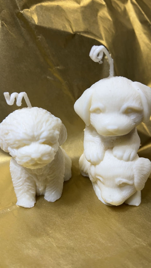 puppy love set